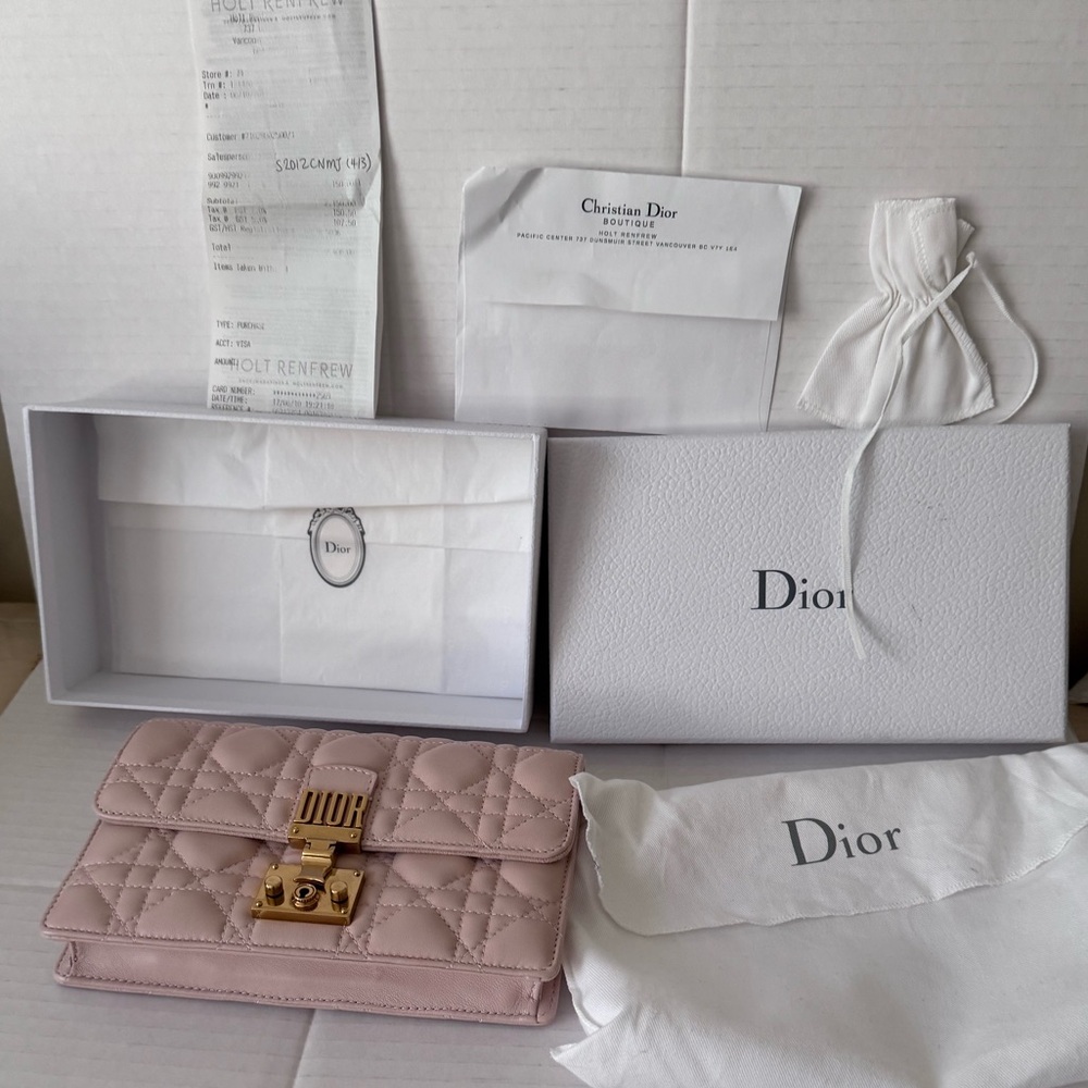 Dior pouch